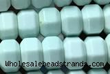 AGAT204 15 inches 4*6mm faceted hexagon oxidized agate beads