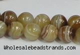 CAG939 16 inches 12mm round madagascar agate gemstone beads