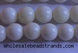 CCB302 15.5 inches 8mm round white coral beads wholesale