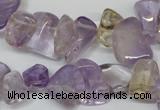 CCH314 15.5 inches 10*15mm ametrine chips gemstone beads wholesale