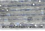 CCU1320 15 inches 2.5mm faceted cube labradorite beads