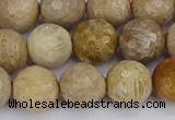 CFC231 15.5 inches 10mm faceted round fossil coral beads