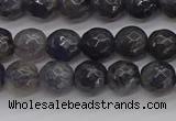 CIL118 15.5 inches 6mm faceted round iolite gemstone beads