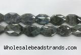 CLB799 25*30mm - 25*35mm faceted octagonal labradorite beads