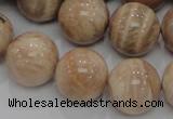 CMS05 15.5 inches 20mm round moonstone gemstone beads wholesale