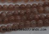 CMS1020 15.5 inches 4mm round AA grade moonstone gemstone beads