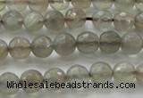 CMS1060 15.5 inches 6mm faceted round grey moonstone beads wholesale