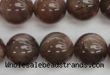 CMS145 15.5 inches 12mm round natural grey moonstone beads