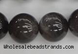 CMS148 15.5 inches 14mm round natural grey moonstone beads