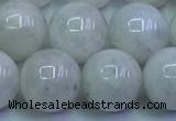 CMS1493 15.5 inches 12mm round white moonstone beads wholesale