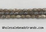 CMS1775 15.5 inches 8*12mm faceted rice AB-color moonstone beads