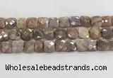 CMS1830 15.5 inches 14*14mm faceted square AB-color moonstone beads