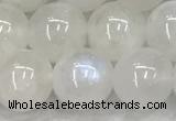 CMS1904 15.5 inches 12mm round white moonstone gemstone beads