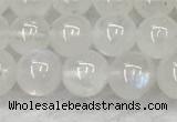 CMS1906 15.5 inches 6mm round white moonstone gemstone beads