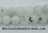 CMS205 15.5 inches 11mm round moonstone gemstone beads wholesale