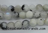 CMS216 15.5 inches 8mm round white moonstone gemstone beads