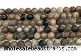 CMS2288 15 inches 8mm round grey moonstone beads wholesale