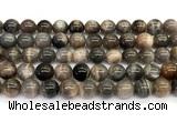 CMS2289 15 inches 10mm round grey moonstone beads wholesale