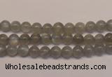 CMS300 15.5 inches 5mm round natural grey moonstone beads wholesale