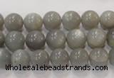 CMS305 15.5 inches 10mm round natural grey moonstone beads wholesale