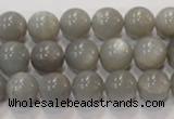 CMS306 15.5 inches 11mm round natural grey moonstone beads wholesale