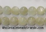 CMS312 15.5 inches 8mm round natural moonstone beads wholesale