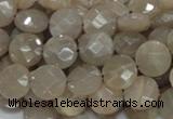 CMS44 15.5 inches 10mm faceted coin moonstone gemstone beads