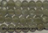 CMS652 15.5 inches 8mm round grey moonstone beads wholesale
