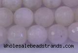 CMS663 15.5 inches 10mm faceted round white moonstone beads