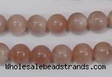 CMS754 15.5 inches 10mm round natural moonstone beads wholesale