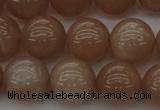 CMS933 15.5 inches 10mm round A grade moonstone gemstone beads