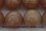 CMS936 15.5 inches 16mm round A grade moonstone gemstone beads