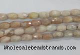 CMS99 15.5 inches 5*7mm faceted rice moonstone gemstone beads