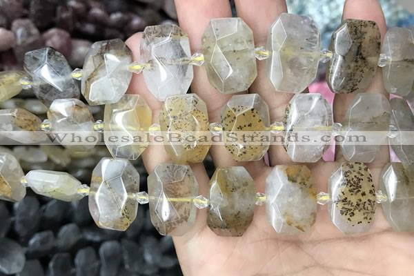 CNG7760 13*18mm - 15*25mm faceted freeform scenic quartz beads