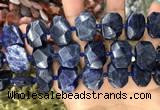 CNG7788 15.5 inches 13*18mm - 15*25mm faceted freeform sodalite beads