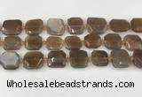 CNG8811 15.5 inches 16mm - 20mm faceted freeform moonstone beads