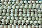 COIN157 15 inches 6mm faceted coin jasper gemstone beads
