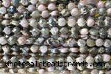 COIN171 15 inches 6mm faceted coin rhodonite gemstone beads