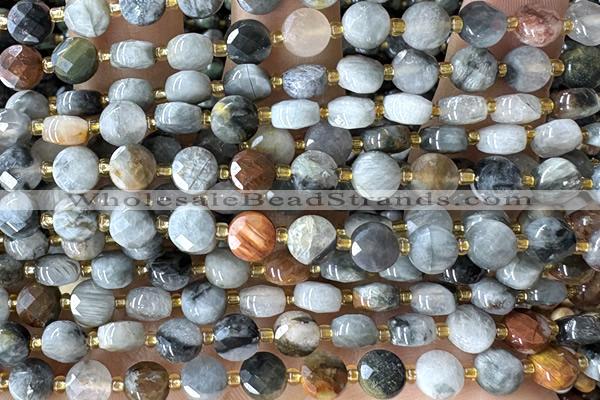 COIN174 15 inches 6mm faceted coin eagle eye jasper beads