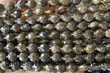COIN208 15 inches 6mm faceted coin bronzite gemstone beads