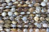 COIN242 15 inches 8mm faceted coin jasper gemstone beads