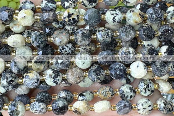 COIN246 15 inches 8mm faceted coin jasper gemstone beads