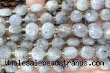COIN275 15 inches 10mm faceted coin labradorite gemstone beads