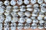 COIN276 15 inches 10mm faceted coin sesame jasper beads