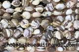 COIN278 15 inches 10mm faceted coin zebra jasper beads