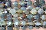 COIN284 15 inches 10mm faceted coin jasper gemstone beads