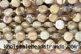 COIN286 15 inches 10mm faceted coin picture jasper beads