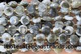COIN287 15 inches 10mm faceted coin jasper gemstone beads