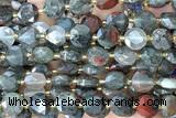 COIN314 15 inches 10mm faceted coin blood jasper beads