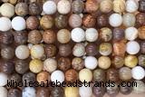 CORA02 15 inches 8mm round fossil coral beads wholesale